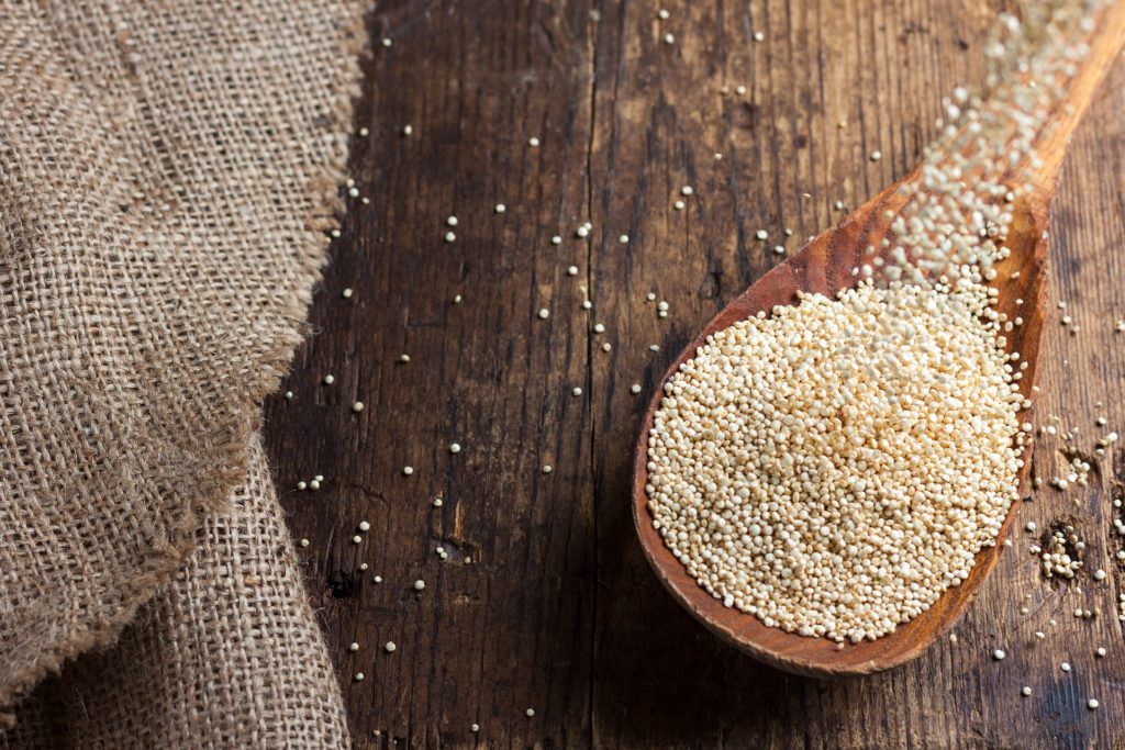 komosa ryżowa quinoa