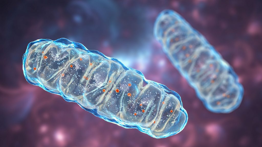 Mitochondriopatia